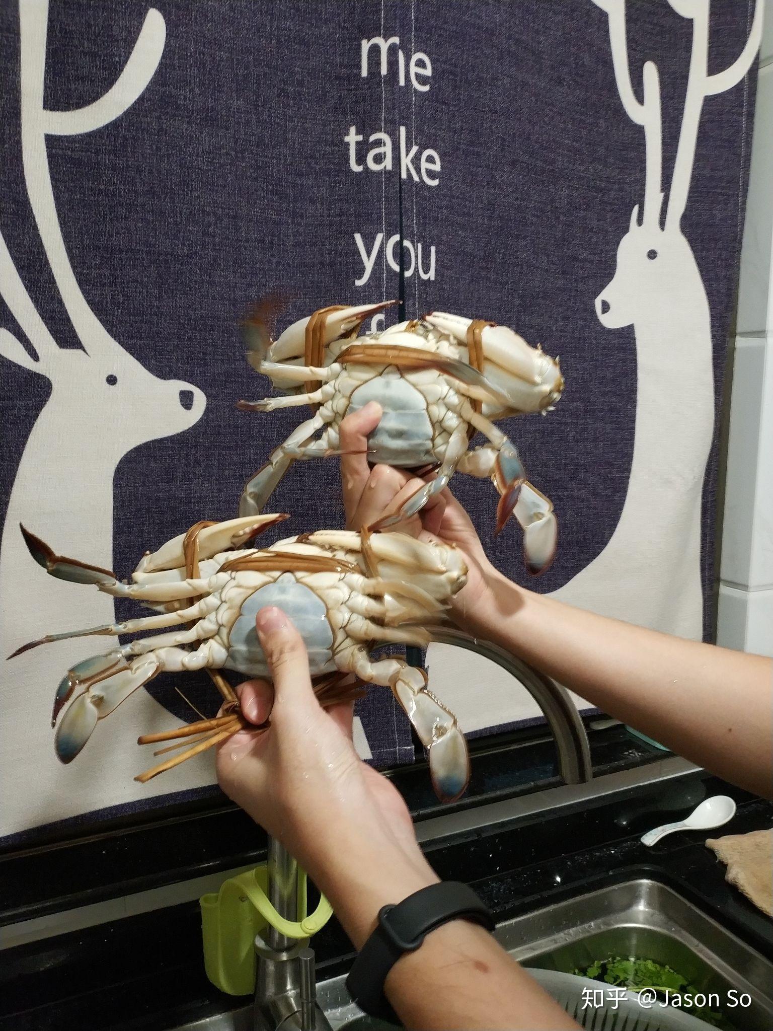 哪种螃蟹最适合吃肉?