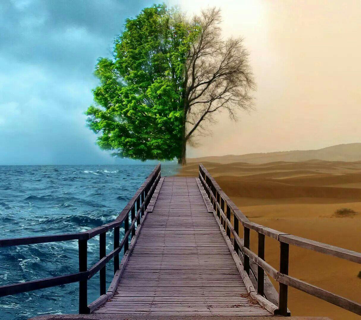 有没有类似这样的上下两个世界的壁纸 请分享?