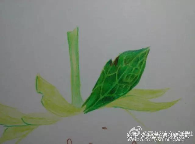 v2-50a2978fe6c280fac27766948adb3695_r.jpg