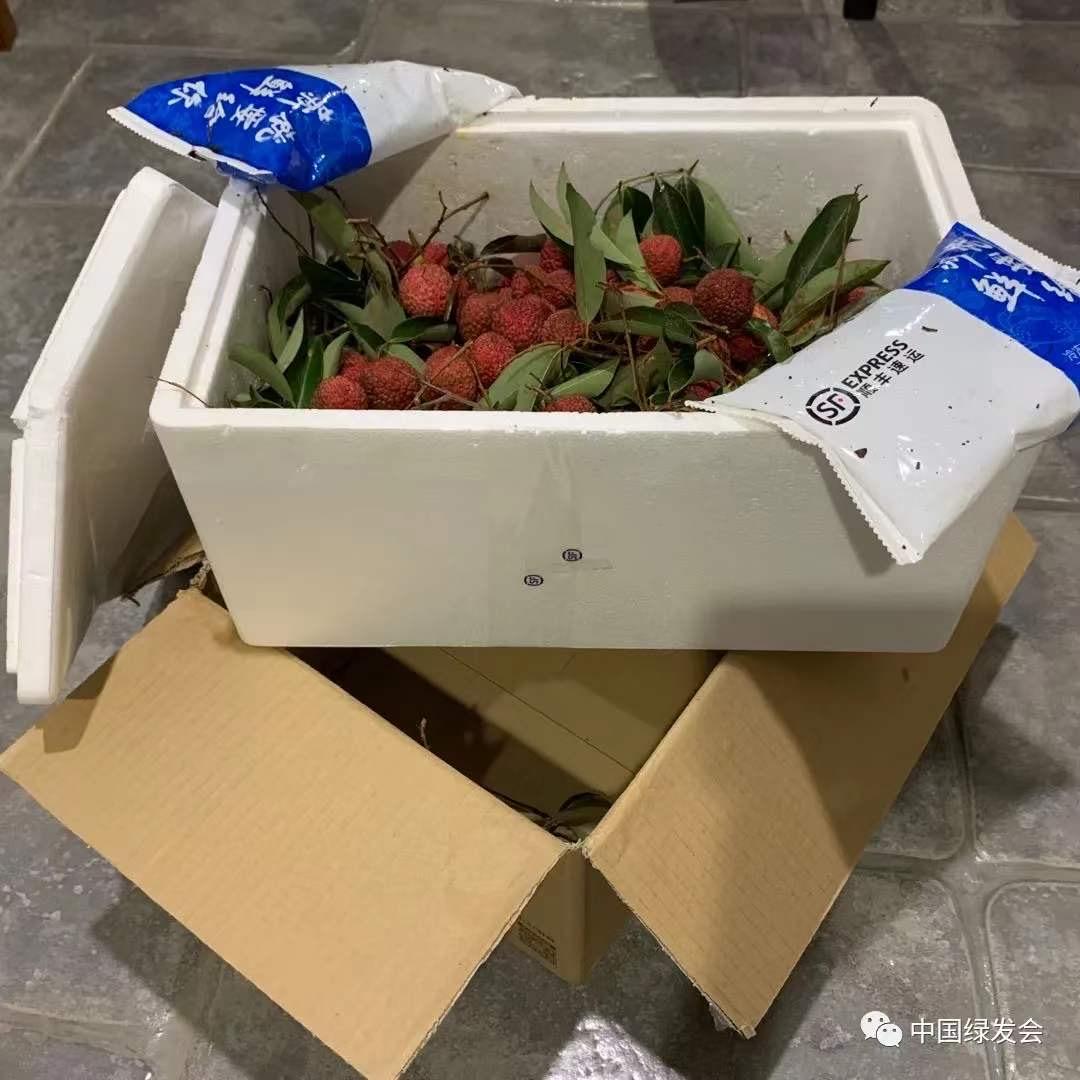 夏至之后又到了荔枝时节.