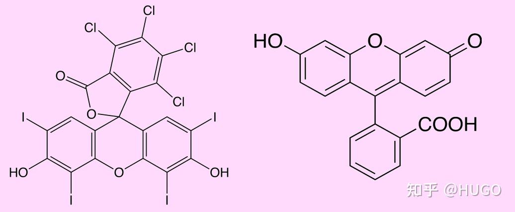 神奇的分子 孟加拉玫瑰红(Rose Bengal) - 知乎