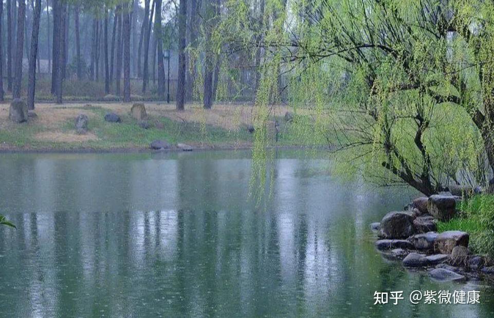 春季阴雨频繁湿气重，可以多吃这些食物，祛湿驱寒有一手 - 知乎
