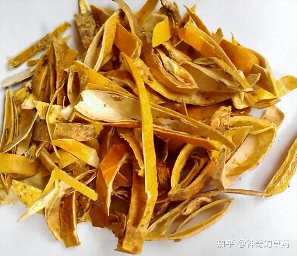 中药材:瓜蒌、瓜蒌皮、瓜蒌子 - 知乎