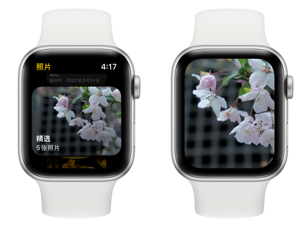 万字详解 Apple Watch 所有自带功能，一次看个爽！ - 知乎