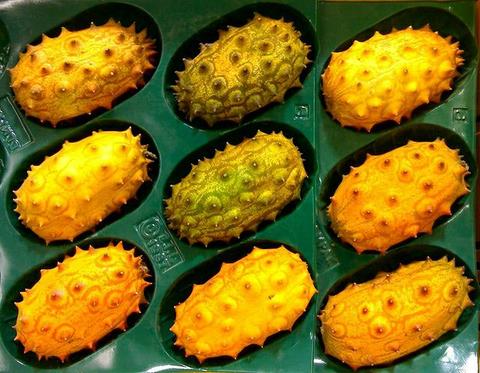 刺角瓜,又叫火参果,灭霸同款断头饭,你值得拥有.