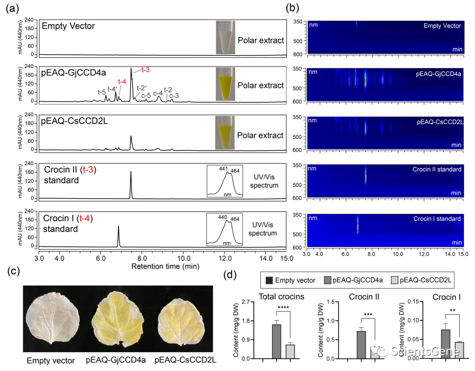 View of Untitled Image