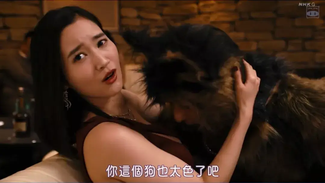 3分钟一个卧槽这剧有毒