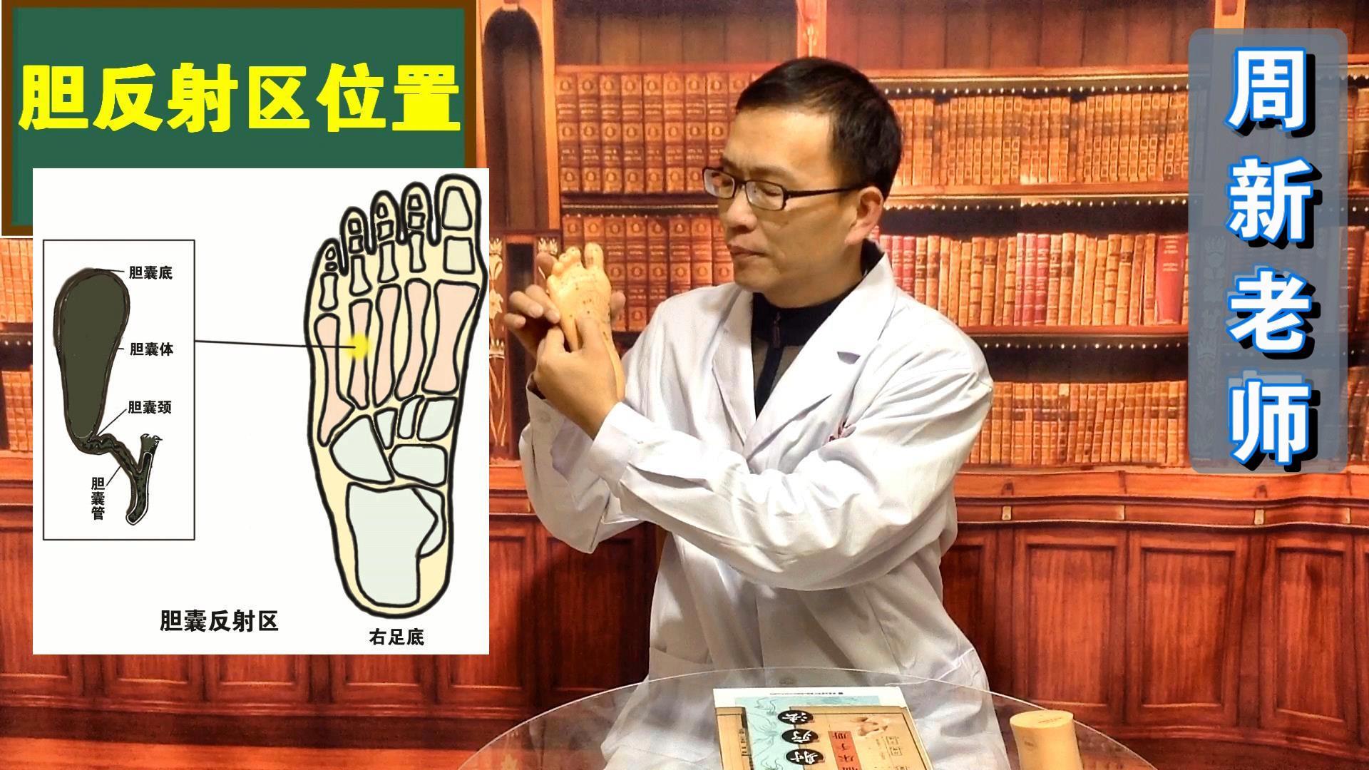 促进咳嗽咽喉疼康复的特效反射区