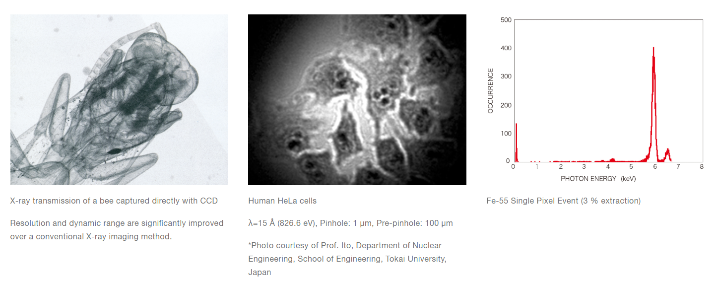 直接探测CCD相机 C8000-30D - 知乎