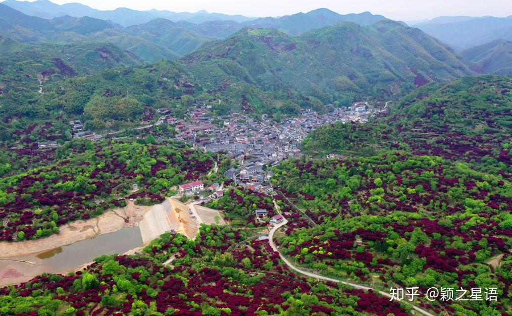 唐田村所在的四明山鎮,地處餘姚和奉化,嵊州,上虞四個市區的交界地