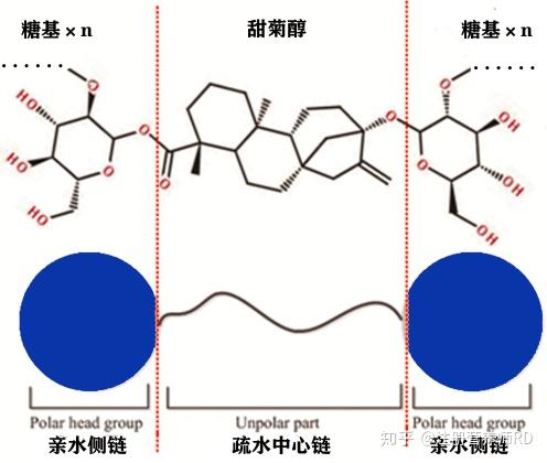 乳化剂对难溶物质增溶机理