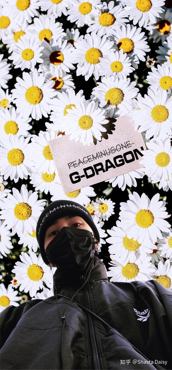 如何看lv的小雏菊配饰 权志龙品牌标志就是小雏菊