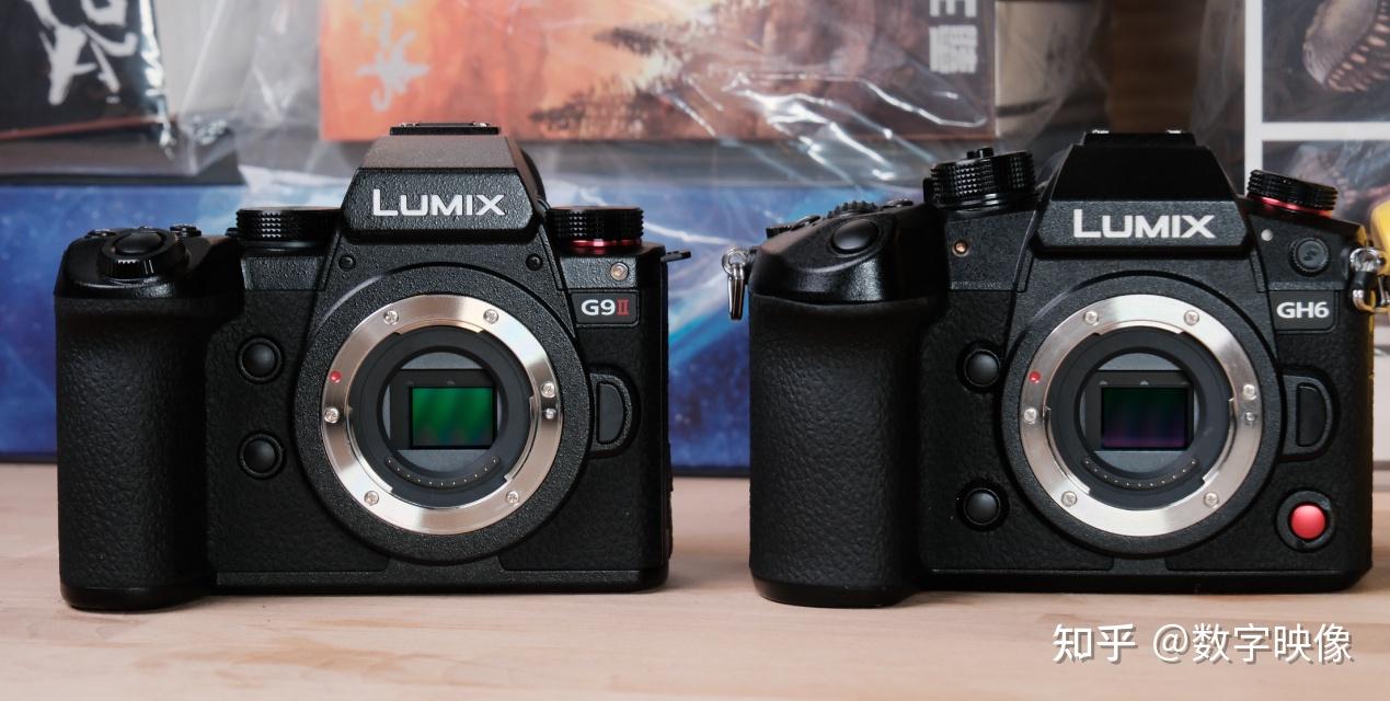 很高兴遇见你,松下lumix g9m2 - 知乎