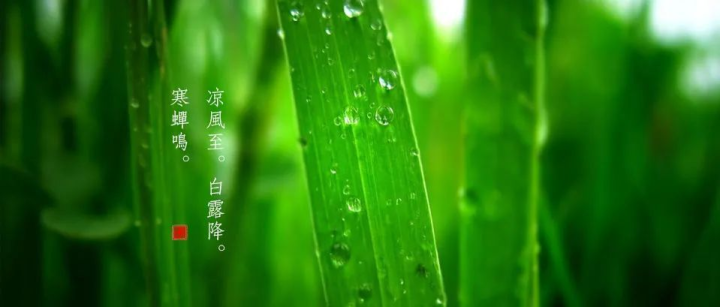 【二十四节气】之立秋 - 知乎