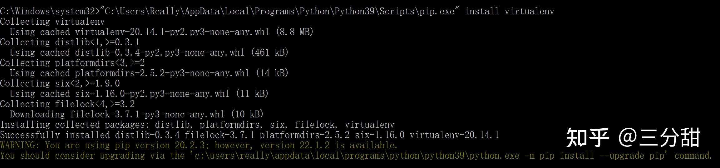 Python virtualenv 