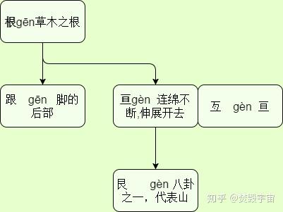 根(树根) - 知乎