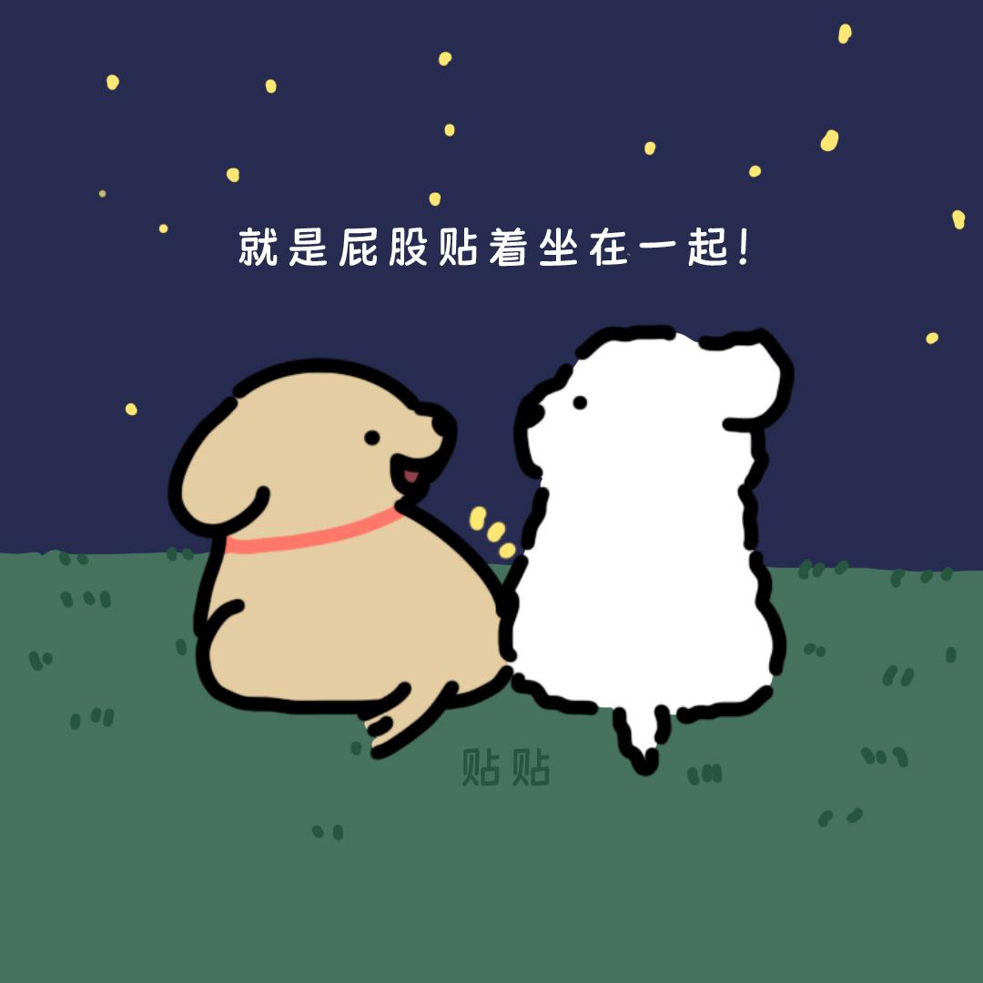 小狗头像合集 - 知乎