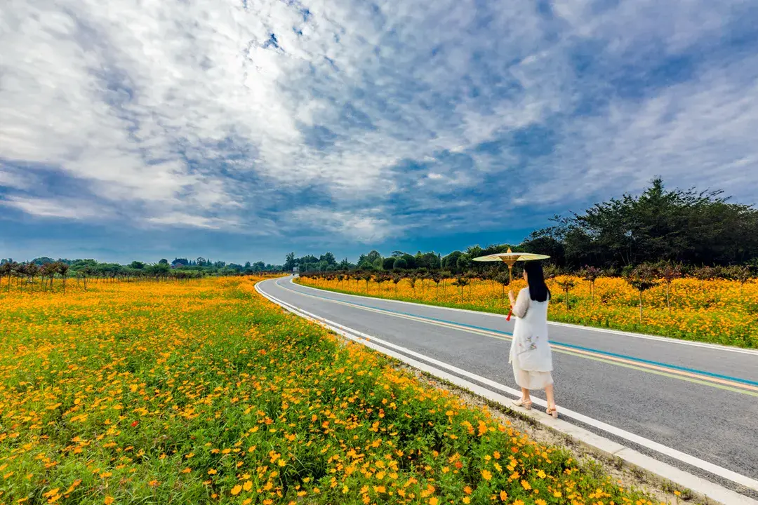 咔嚓咔嚓定格温江最美农路