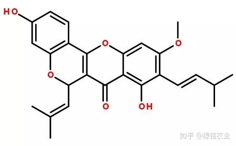 【绿铭小课堂】什么是黄酮?对人体有什么作用?