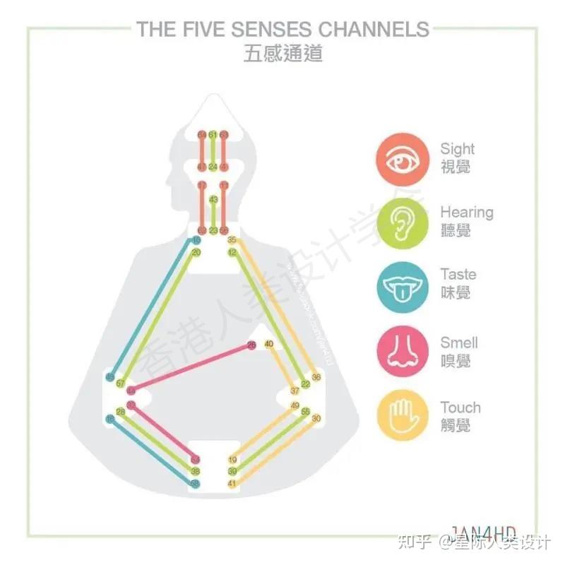 人类设计图小知识丨关于五感通道的说明 - 知乎