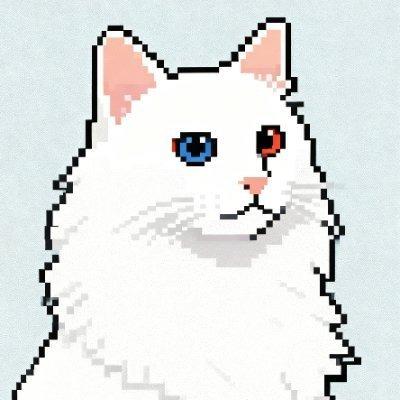 Jim季