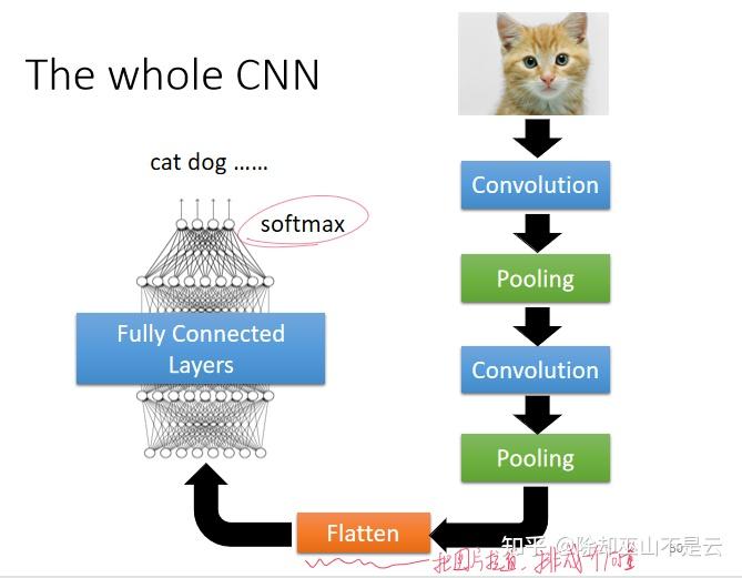  ml2021 cnn 