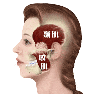 人到中年为什么会发腮?需要怎么补救? - 知乎