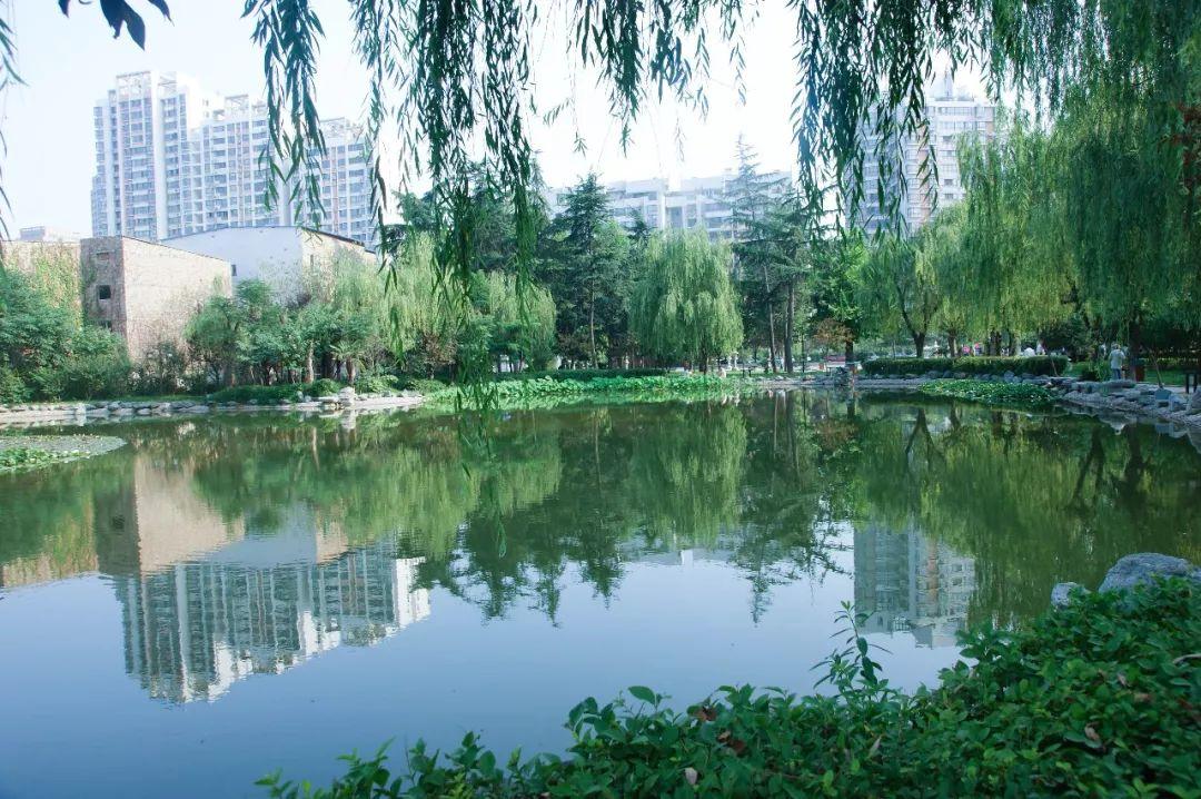 西安市河湖长制督查工作陆续进行公园的湖水达标了吗