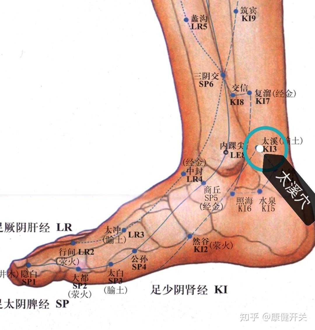 甲狀腺結節按摩調理方法