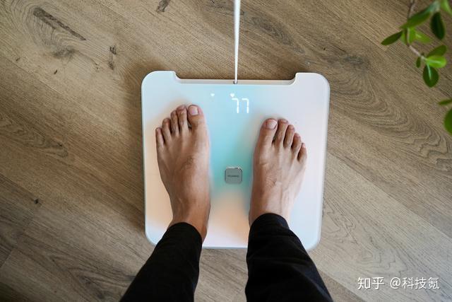 怎么自己测体脂 v2-51a434055ba5523e0725cfe8b77e9161_r.jpg