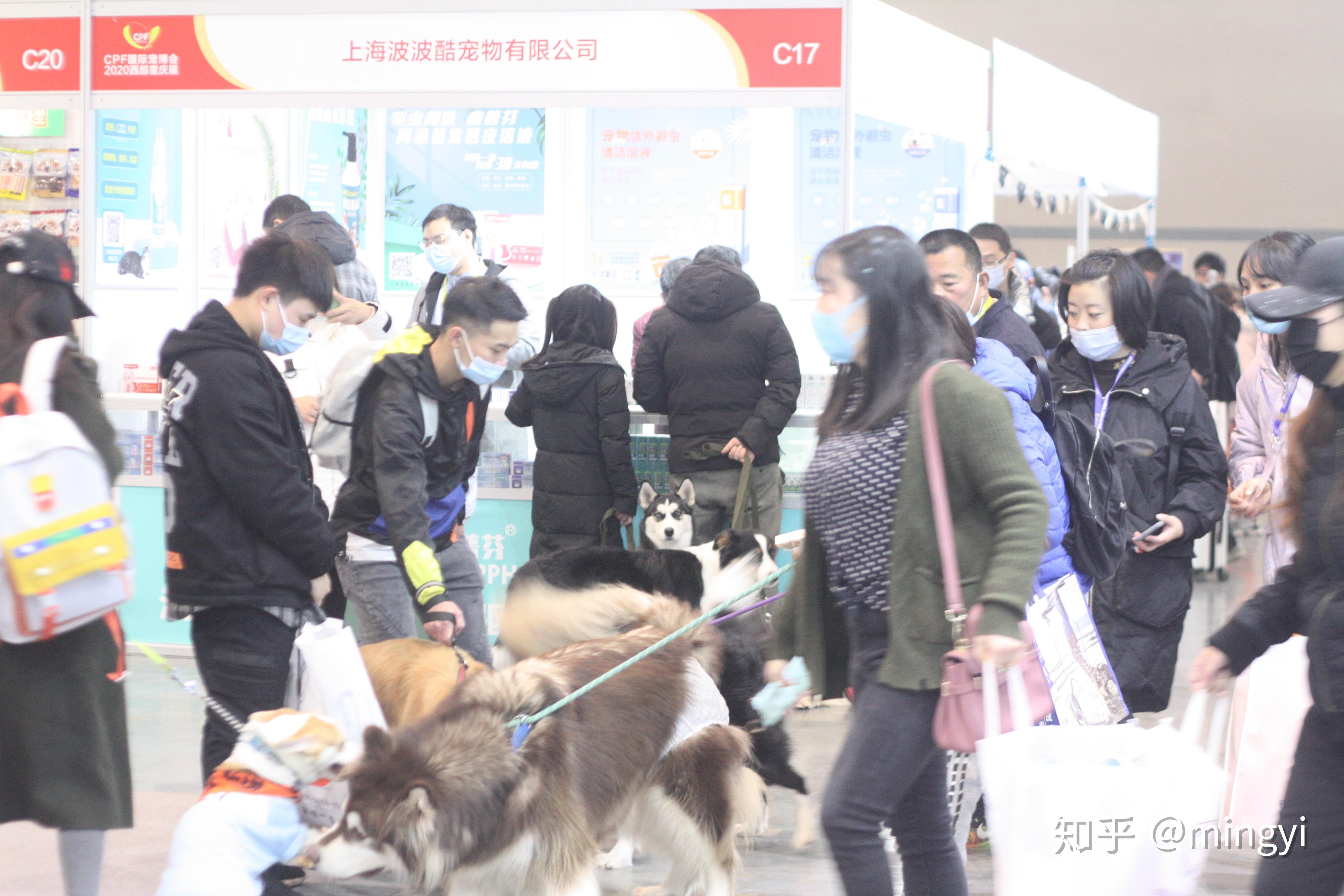 2021广州cpf宠物展携宠来袭想要入手宠物的朋友们注意了