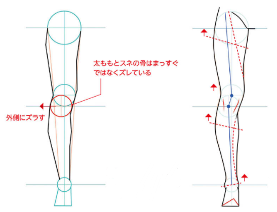 正面腿部画法图片
