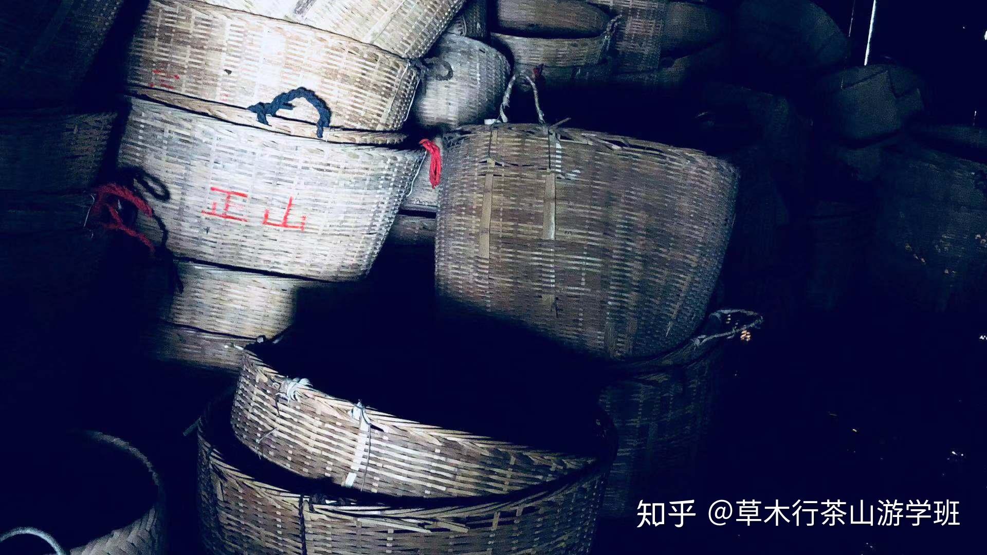 班长看茶山——桐木 - 知乎