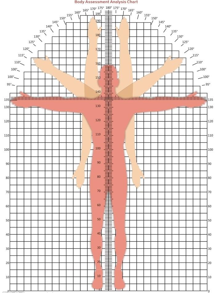 体态评估重要吗