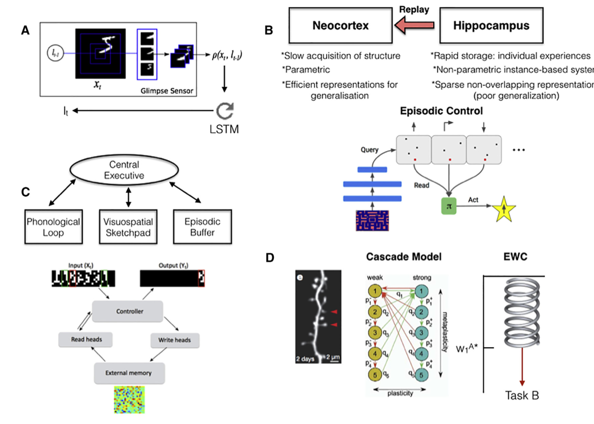 什么是人工智能模型 v2-51ffd1e99cbffcd07c502e574ef1e37d_r.jpg