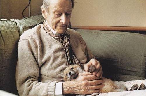 母乳终极秘诀90的妈妈看完都能顺利喂到1岁以上