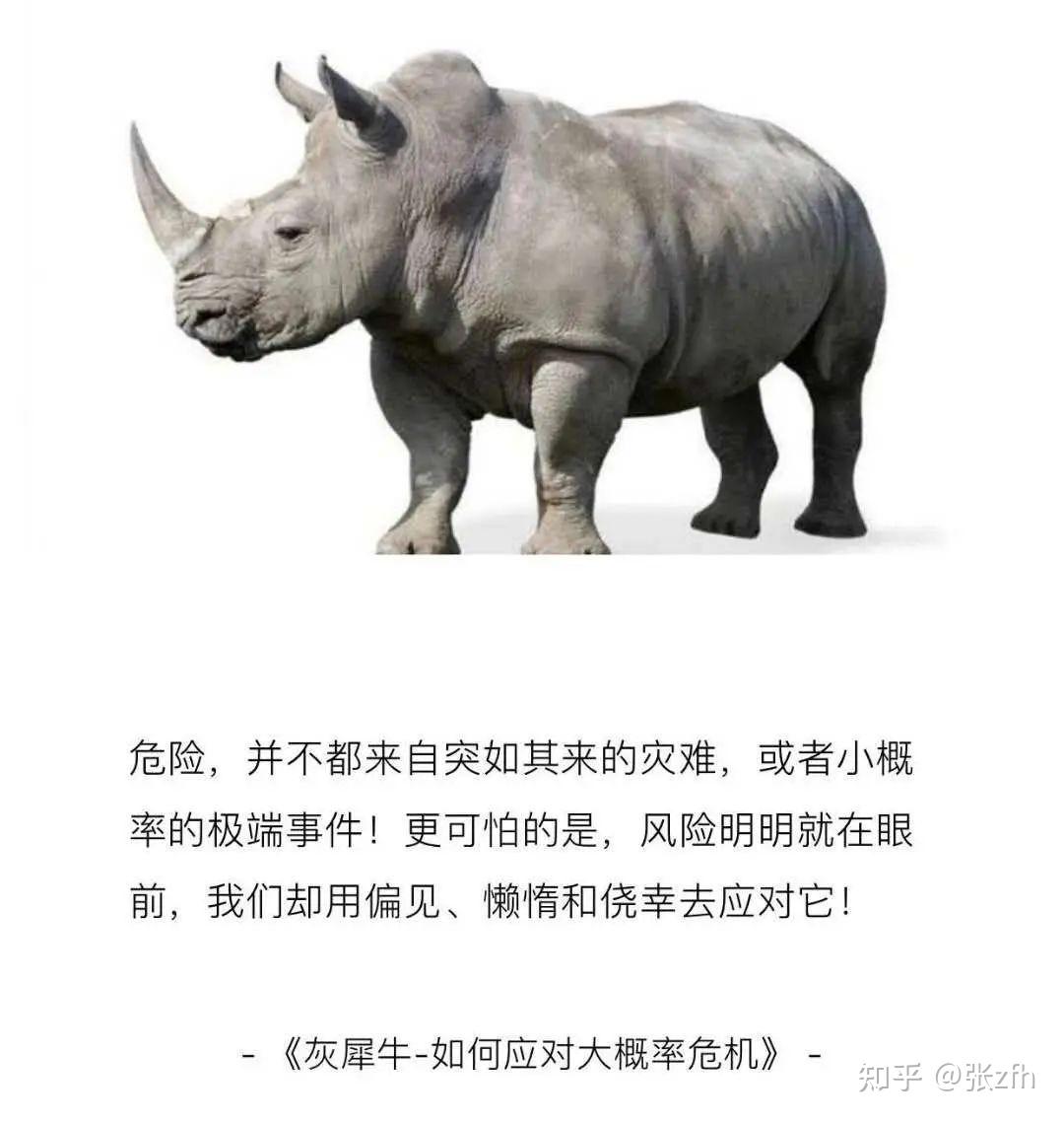 黑天鹅事件固然可怕,但灰犀牛事件可预可防.