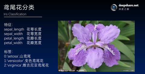 鸢尾花 知乎
