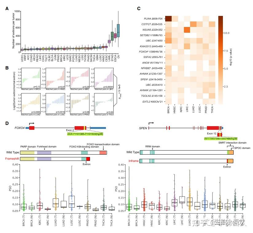 18分1区期刊的生信，看看高手如何炒作概念 - 知乎