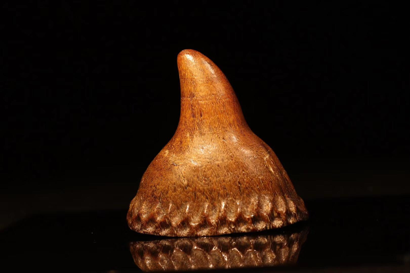 用肉眼最快鉴定犀牛角的方法 - 知乎