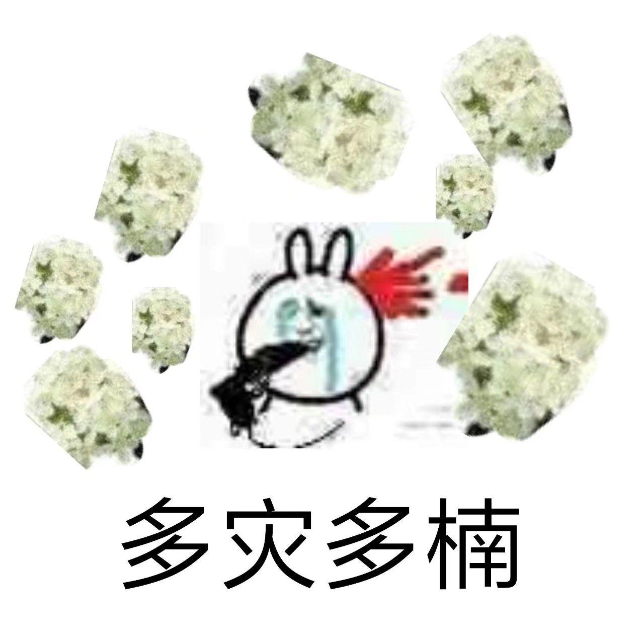 石楠花闻起来有精液的味道,为什么很多学校种