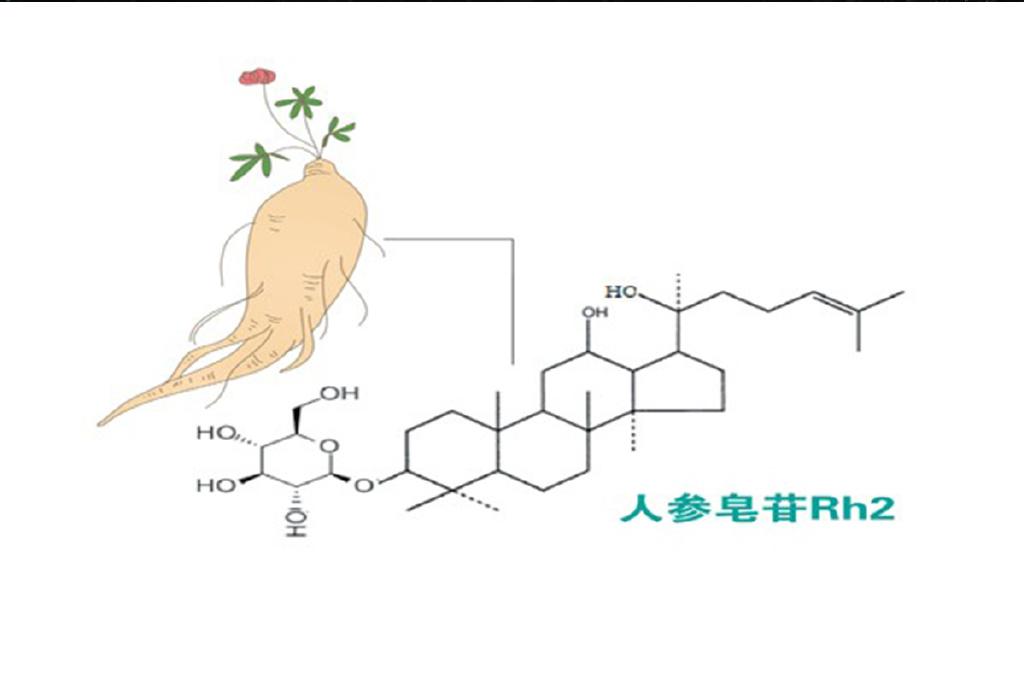 人参皂苷rg3知识图片