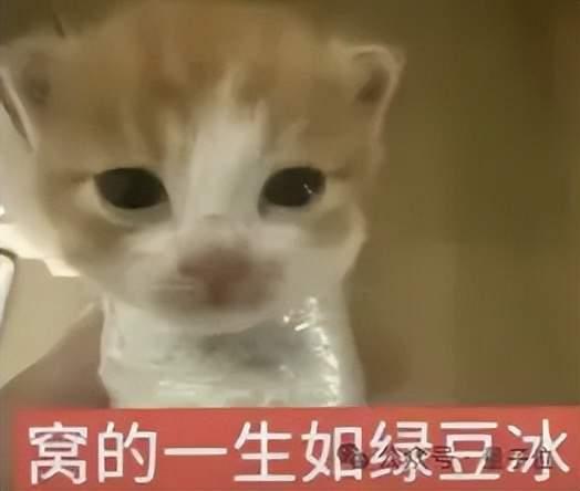 库克临走给苹果涨价!电脑iPad全线上调,iPhone 18也跑不了