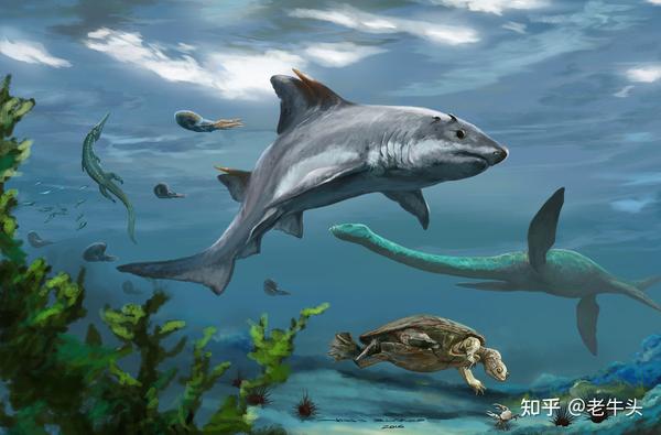 古生物新闻（2022年6月6日-6月19日） - 知乎