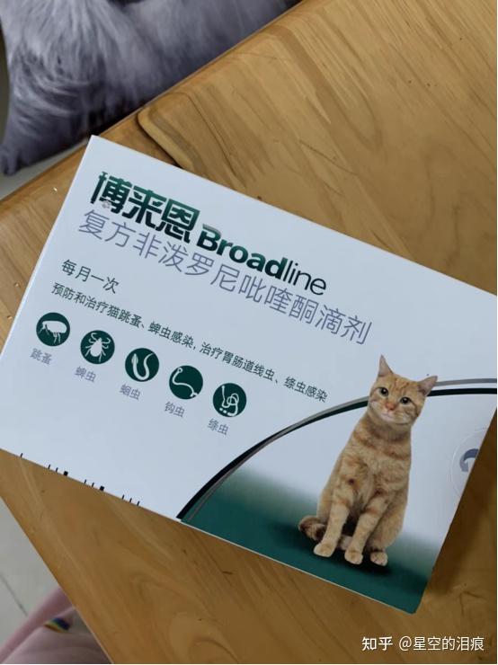 分享功课自己在家治疗猫耳螨现已痊愈