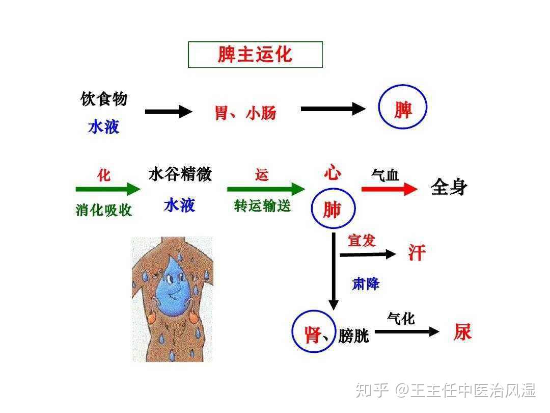 素问.痹论》提出"风寒湿三气杂至,合而为痹也.