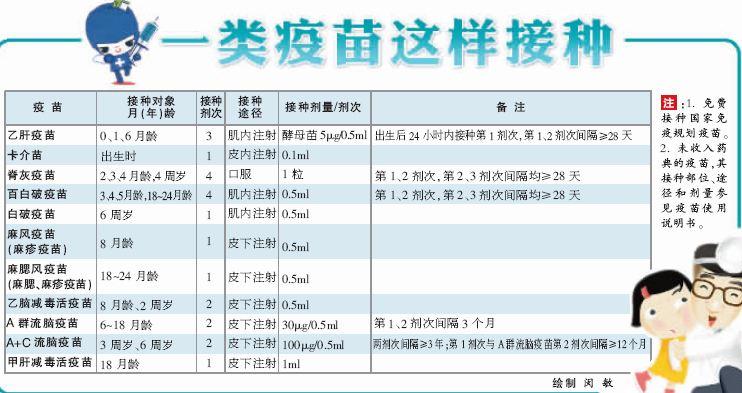 计划内疫苗(一类疫苗)是宝宝出生后必须进行接种的