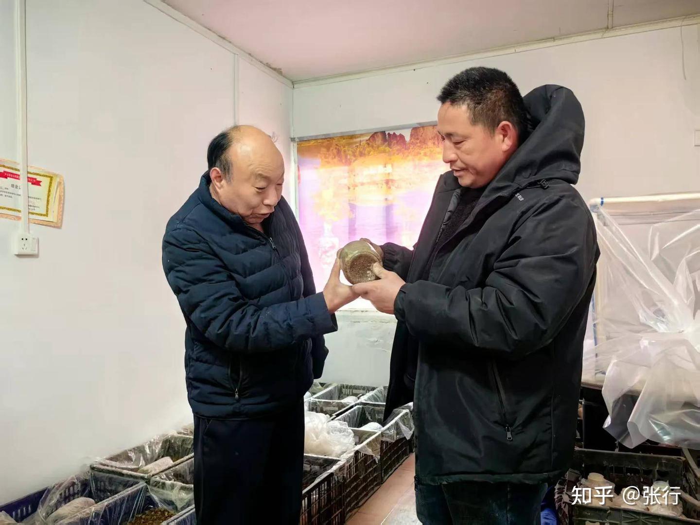 蘑菇大王丁伦保在定远县能仁乡恒基牧业公司指导食用菌种植 - 知乎