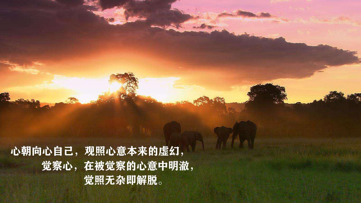 v2-526b10ee158903fc5eac72138b2ac442_1440w.jpg?source=172ae18b
