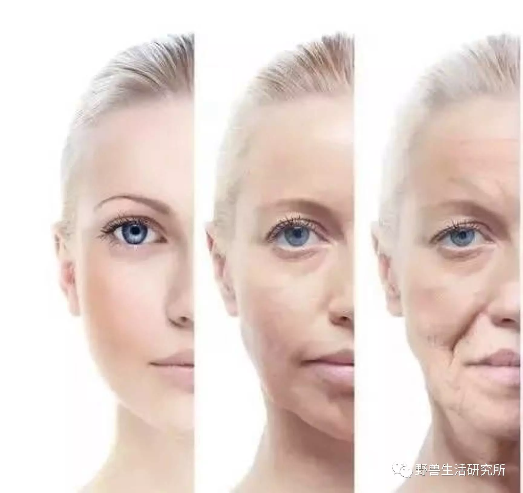 女性开始衰老的4个症状，快看看你占了几个？ | 说明书网